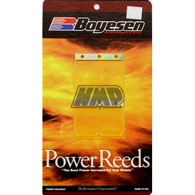 Lamelas KTM 250 EXC 1999-2001 competição - BOYESEN